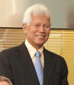 Tan Sri Asmat bin Kamaludin (Independent Non-Executive Director)