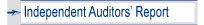 Independant Auditors' Report