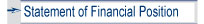 Statement in Financial Position