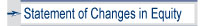 Statement of Changes in Equity