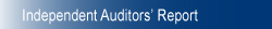 Independent Auditor's Report