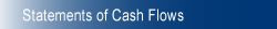 Statement of Cash Flows
